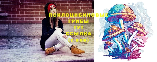 ECSTASY Алексеевка