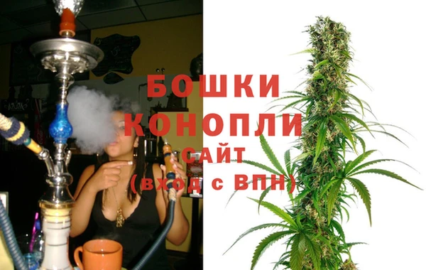 гидропоника Алзамай