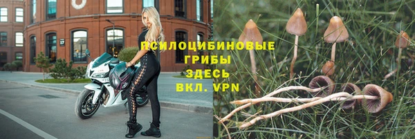 гидропоника Алзамай